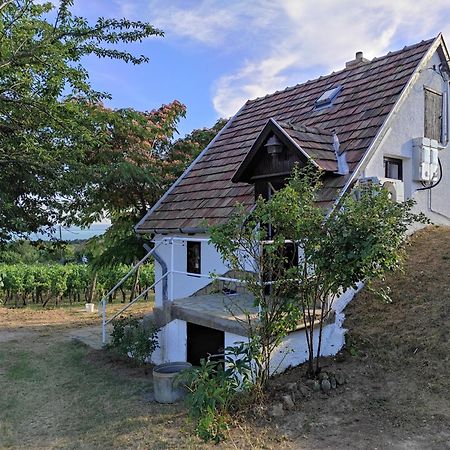 Kisház a szőlőhegyen Apartman Balatonakali Kültér fotó