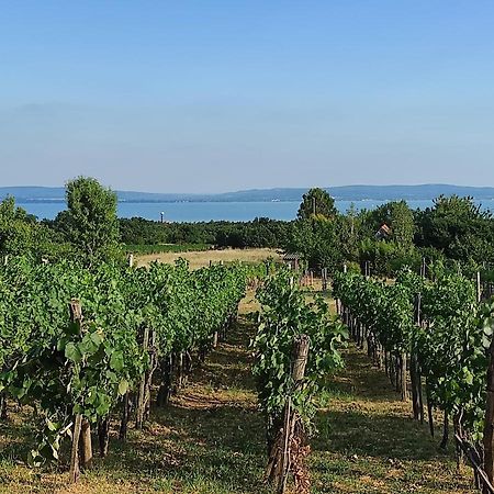 Kisház a szőlőhegyen Apartman Balatonakali Kültér fotó