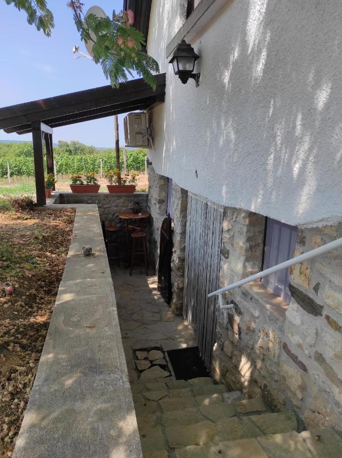 Kisház a szőlőhegyen Apartman Balatonakali Kültér fotó