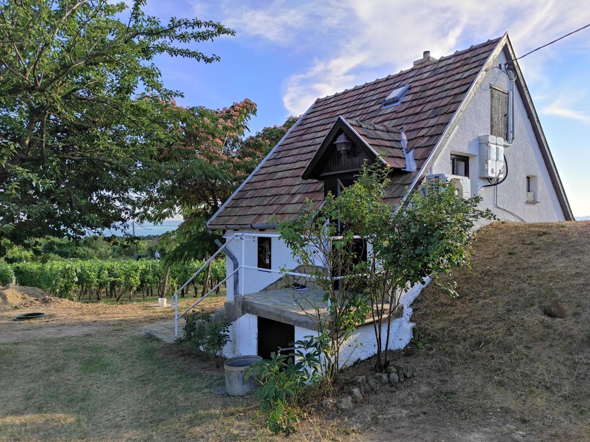 Kisház a szőlőhegyen Apartman Balatonakali Kültér fotó